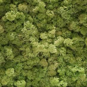 【材质】树林森林俯视树林