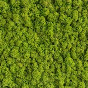 【材质】树林森林俯视树林