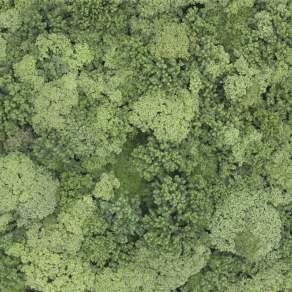 【材质】自然森林鸟瞰素材贴图1