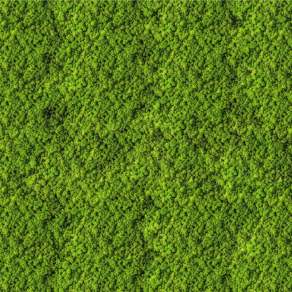 【材质】苔藓墙贴图