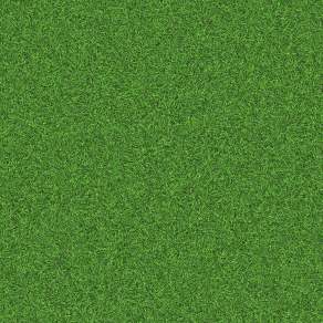 【材质】草地草坪