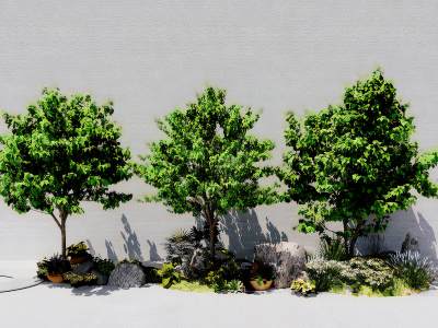 现代景观树常绿树木花草植被