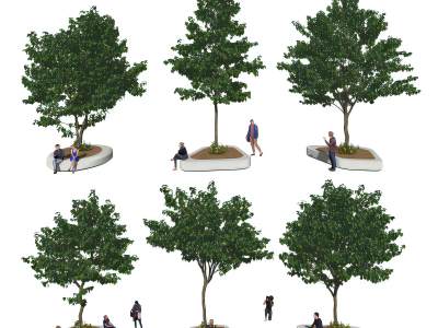 现代景观树户外树木花草