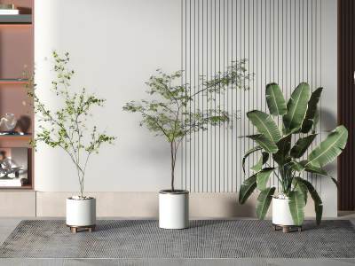 现代绿植盆栽组合