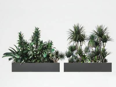 现代植物堆