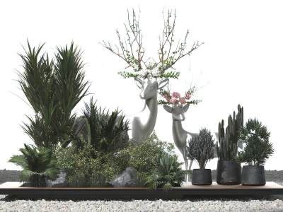 现代植物盆栽组合