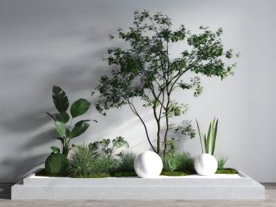 现代植物堆