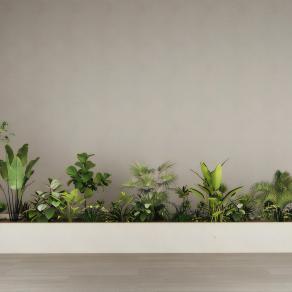 现代绿植堆花坛