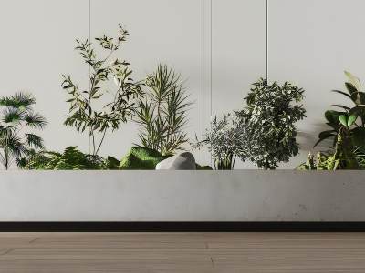 现代植物堆