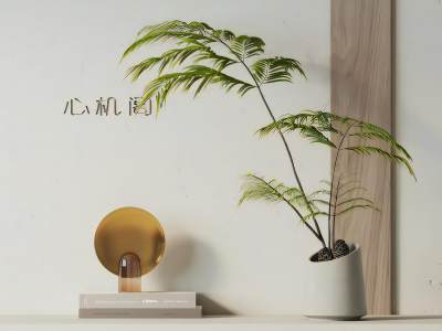 侘寂风细叶绿植盆栽