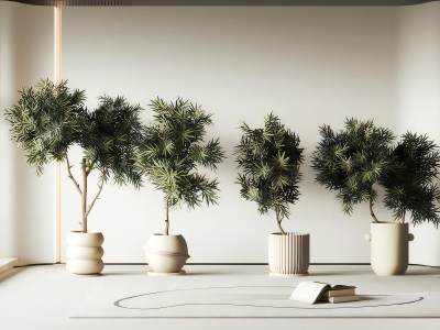 侘寂风绿植盆栽