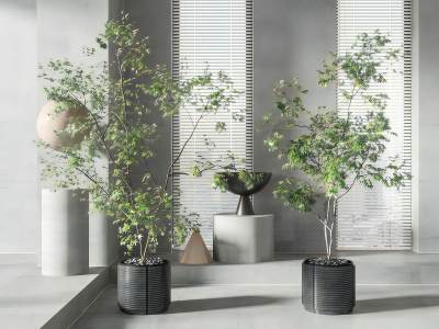 现代绿植盆栽