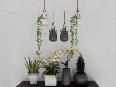 现代绿植盆栽组合