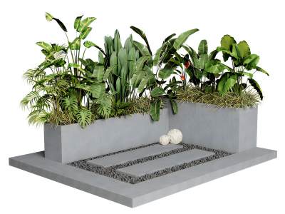 现代景观植物组合