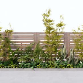 现代庭院绿植