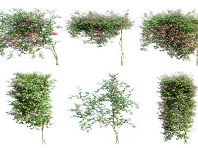 现代凌霄花绿植墙
