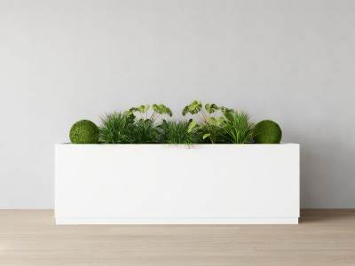 现代绿植花箱盆栽