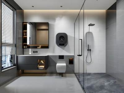 现代黑白灰卫生间