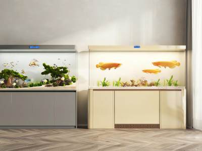 现代鱼缸水族箱