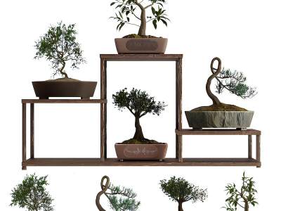 新中式禅意植物盆栽摆设