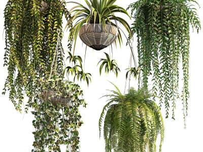 现代吊篮绿植盆栽