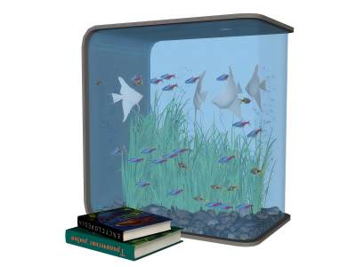 现代鱼缸水族箱