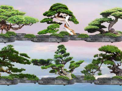 新中式造型罗汉松盆栽