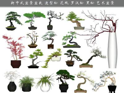 新中式盆景盆栽