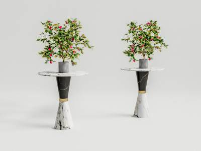 现代绿植花卉盆栽