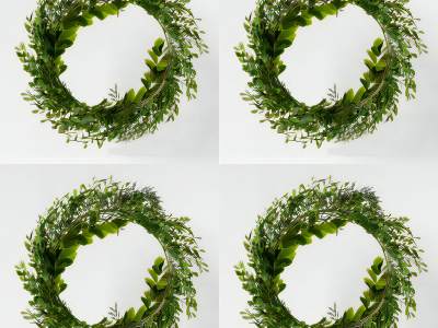 现代植物编织圆圈壁挂绿叶戒指