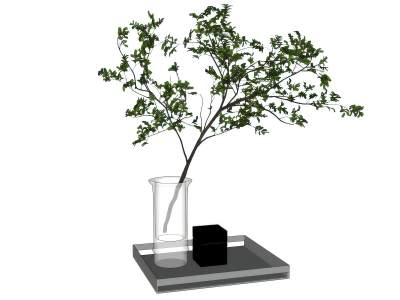 现代绿植花瓶
