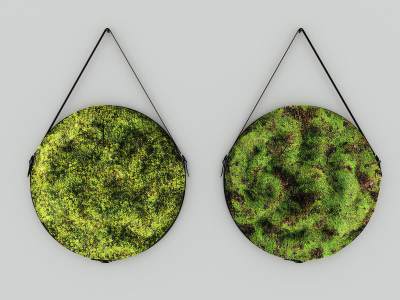现代苔藓墙饰挂件