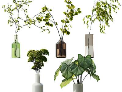 现代水生植物花瓶