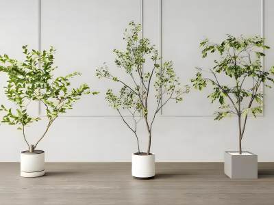 现代客餐厅模型