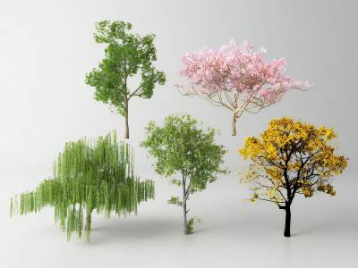 现代景观树