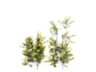 现代绿植墙