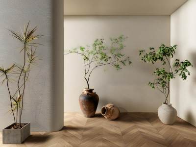 侘寂风植物盆栽