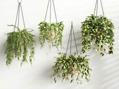 现代绿植吊篮