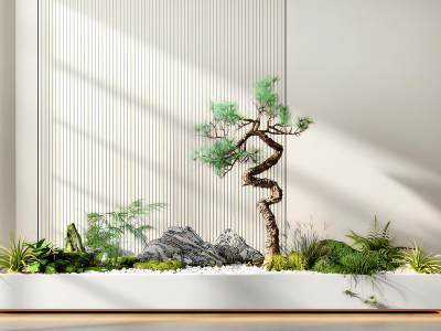 中式造景松树盆栽