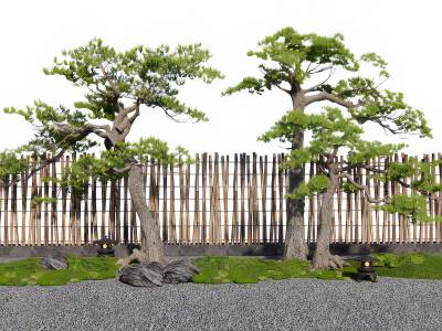 新中式造景松树