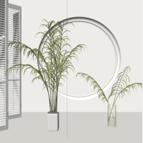 现代水生植物盆栽