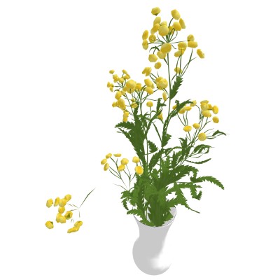 花瓶摆件