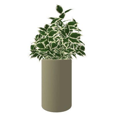 花瓶摆件