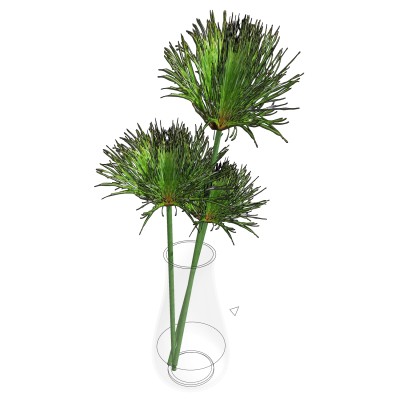 花瓶摆件