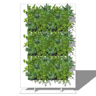 植物墙