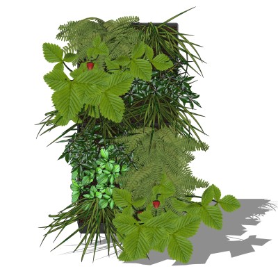 植物墙