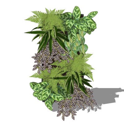 植物墙