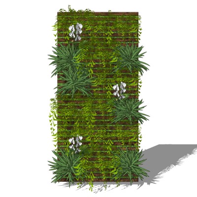 植物墙