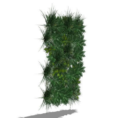 植物墙