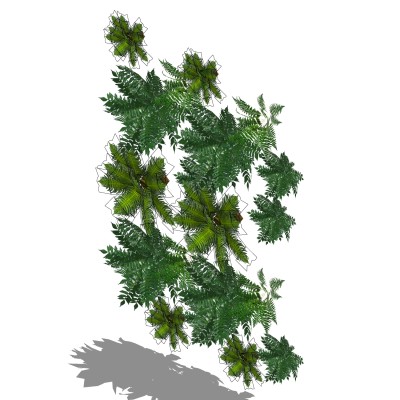 植物墙